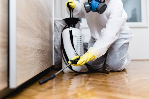 Best Pest Control Near Me in Rawlins, WY