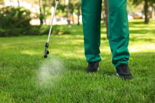 Best Commercial Pest Control Services  in Rawlins, WY