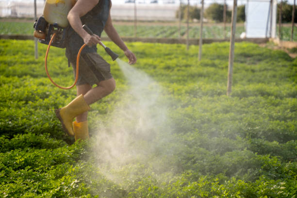 Best Best Pest Control Near Me  in Rawlins, WY