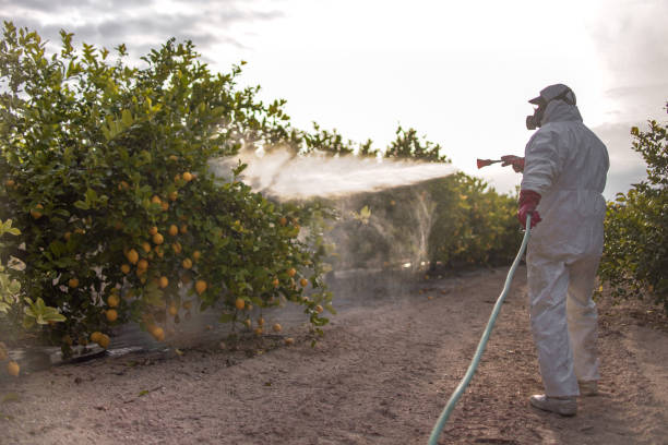 Best Insect Control  in Rawlins, WY