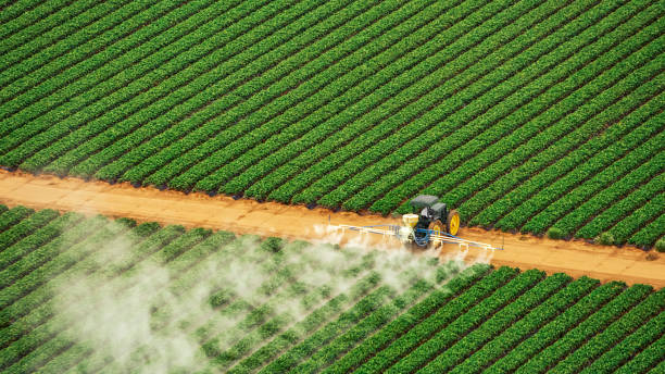 Best Mosquito Control Services  in Rawlins, WY
