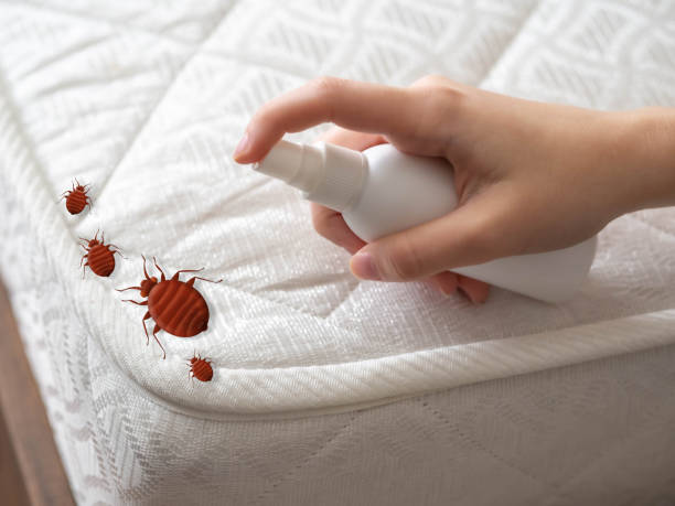 Rawlins, WY Pest Control Company