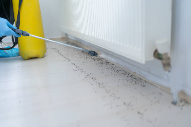 Best Affordable Pest Control Services  in Rawlins, WY