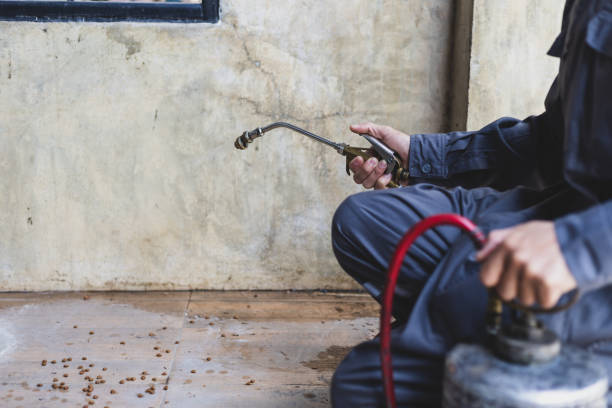 Best Pest Removal Services  in Rawlins, WY